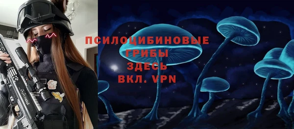 стаф Пересвет
