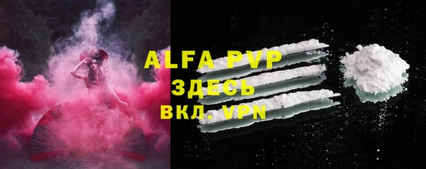 прущие грибы Абаза