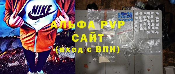 прущие грибы Абаза