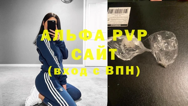 стаф Пересвет