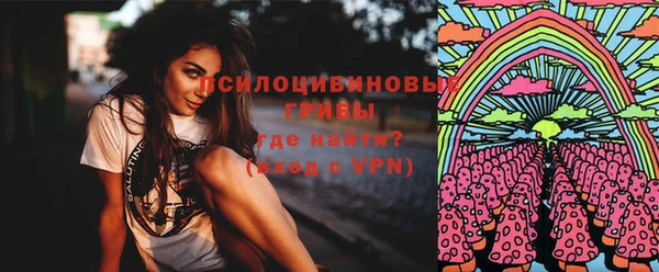 амф Абинск