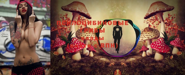 меф Переславль-Залесский