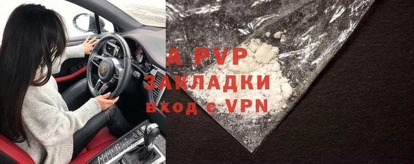 прущие грибы Абаза