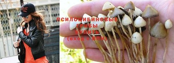 амф Абинск