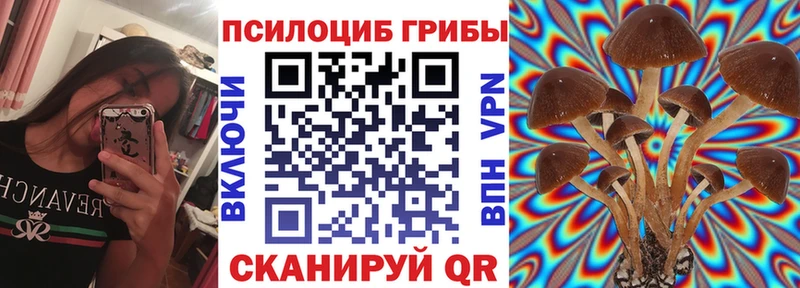наркота  Аргун  Галлюциногенные грибы MAGIC MUSHROOMS 